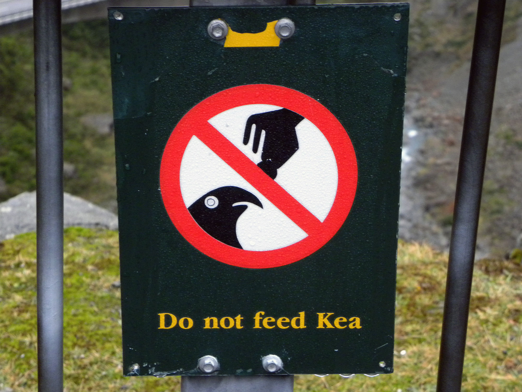 do-not-feed-the-kea-sign