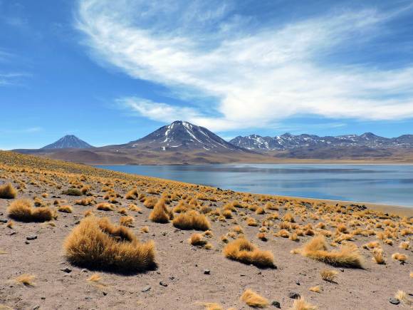 Altiplano Chile