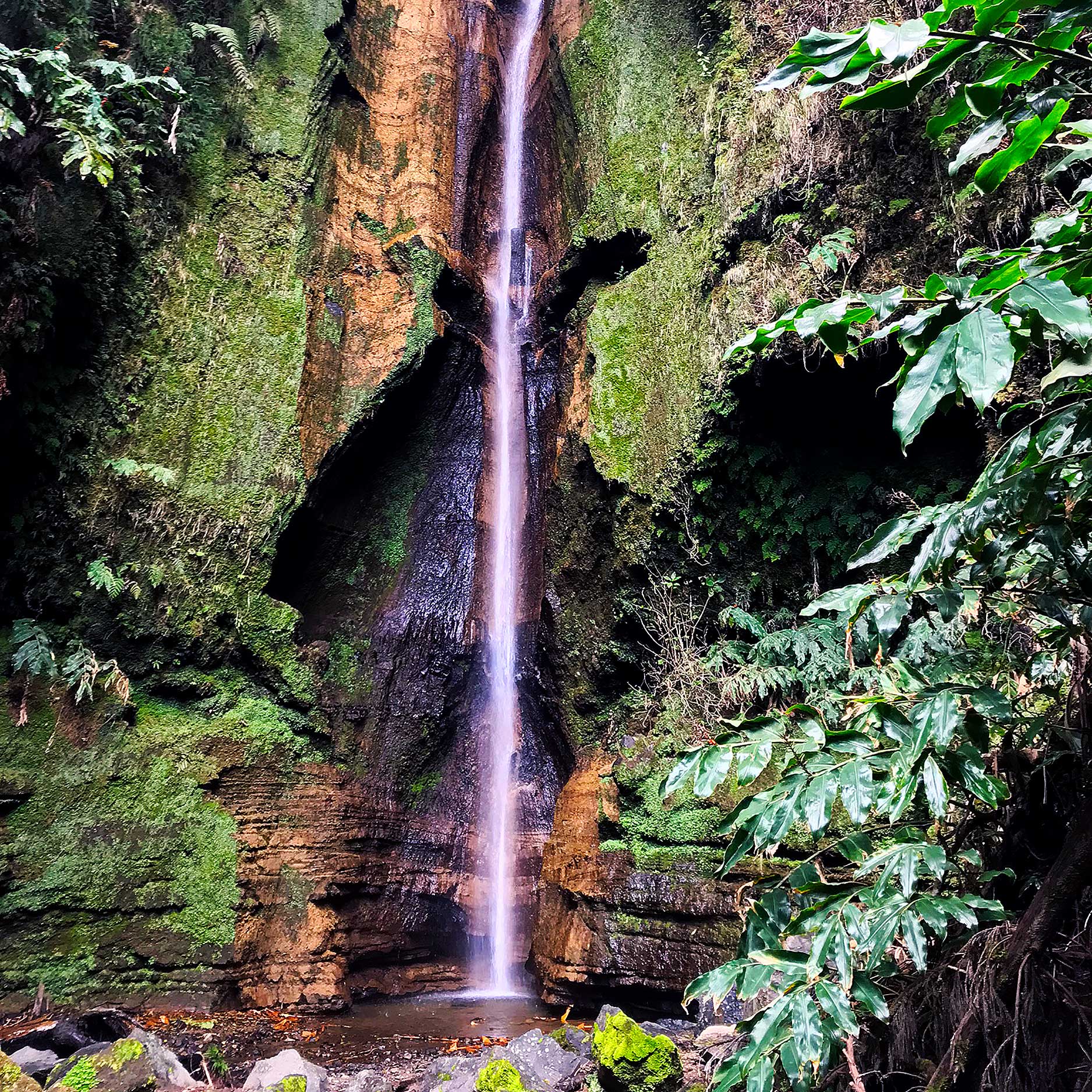 Furnas waterfall in Sao Miguel, Azores