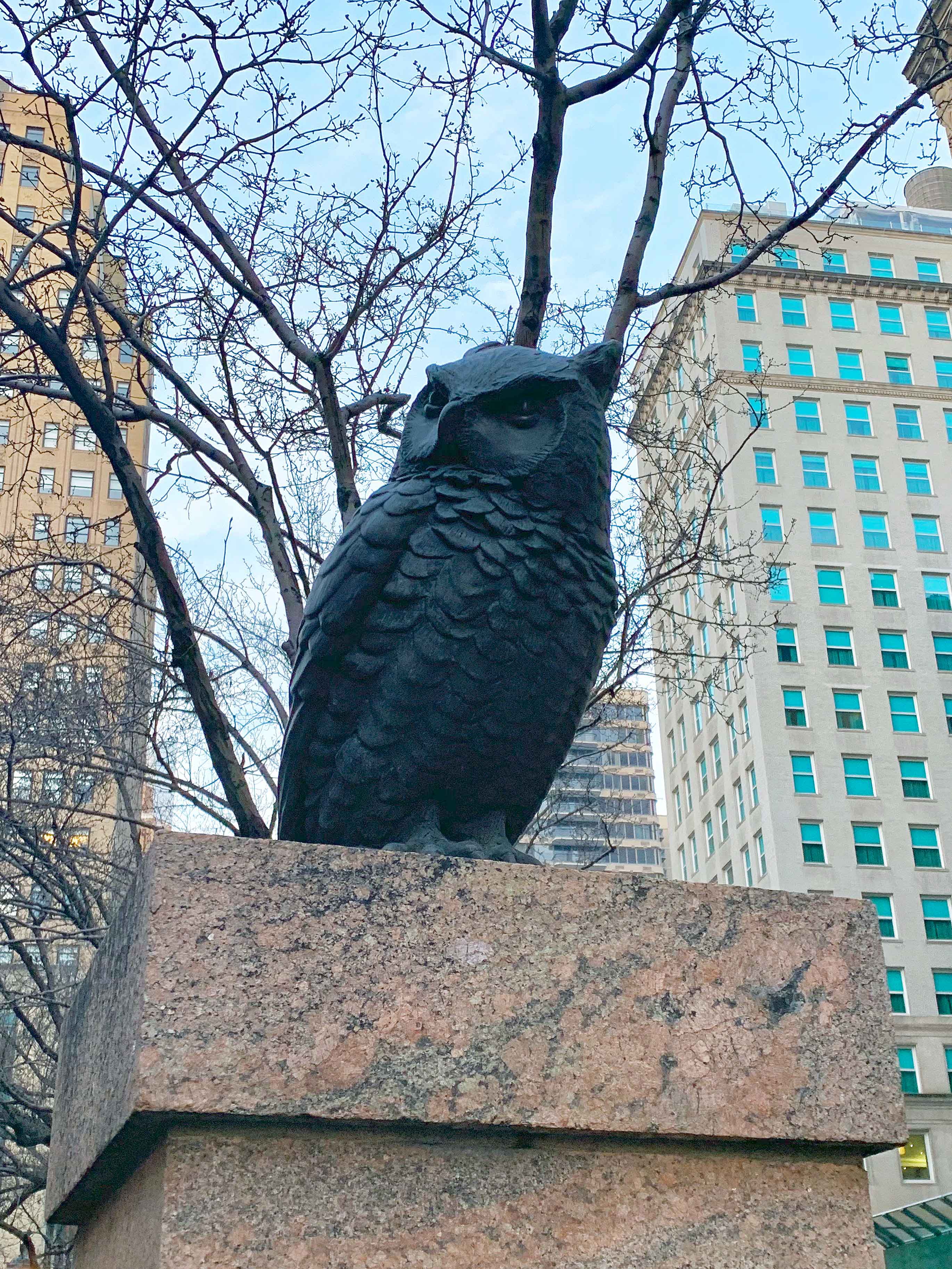 Random New York owl statue