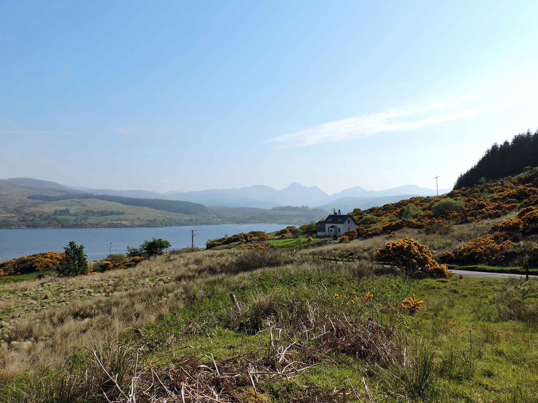 argyll forest drive in scotland