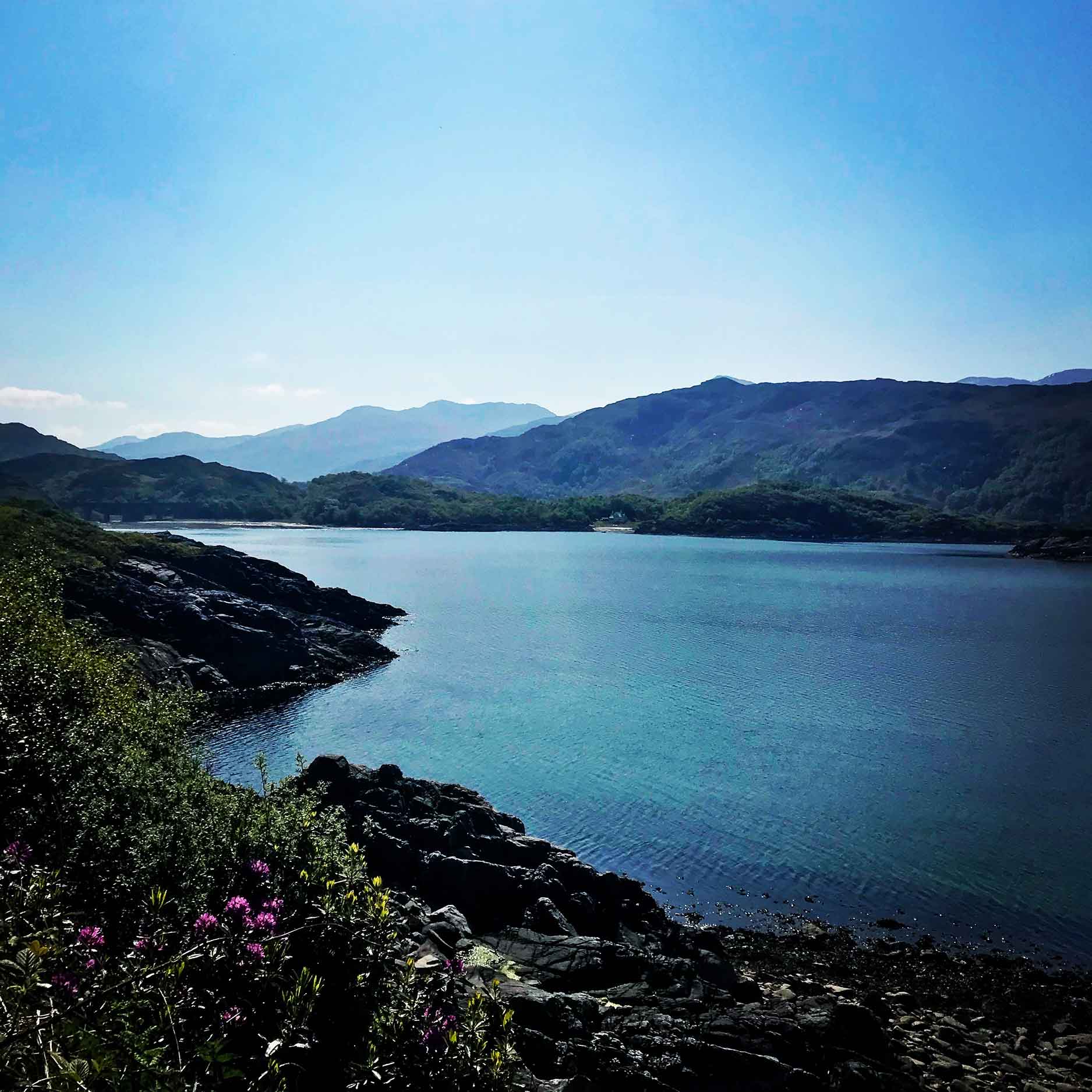 argyll forest drive in scotland