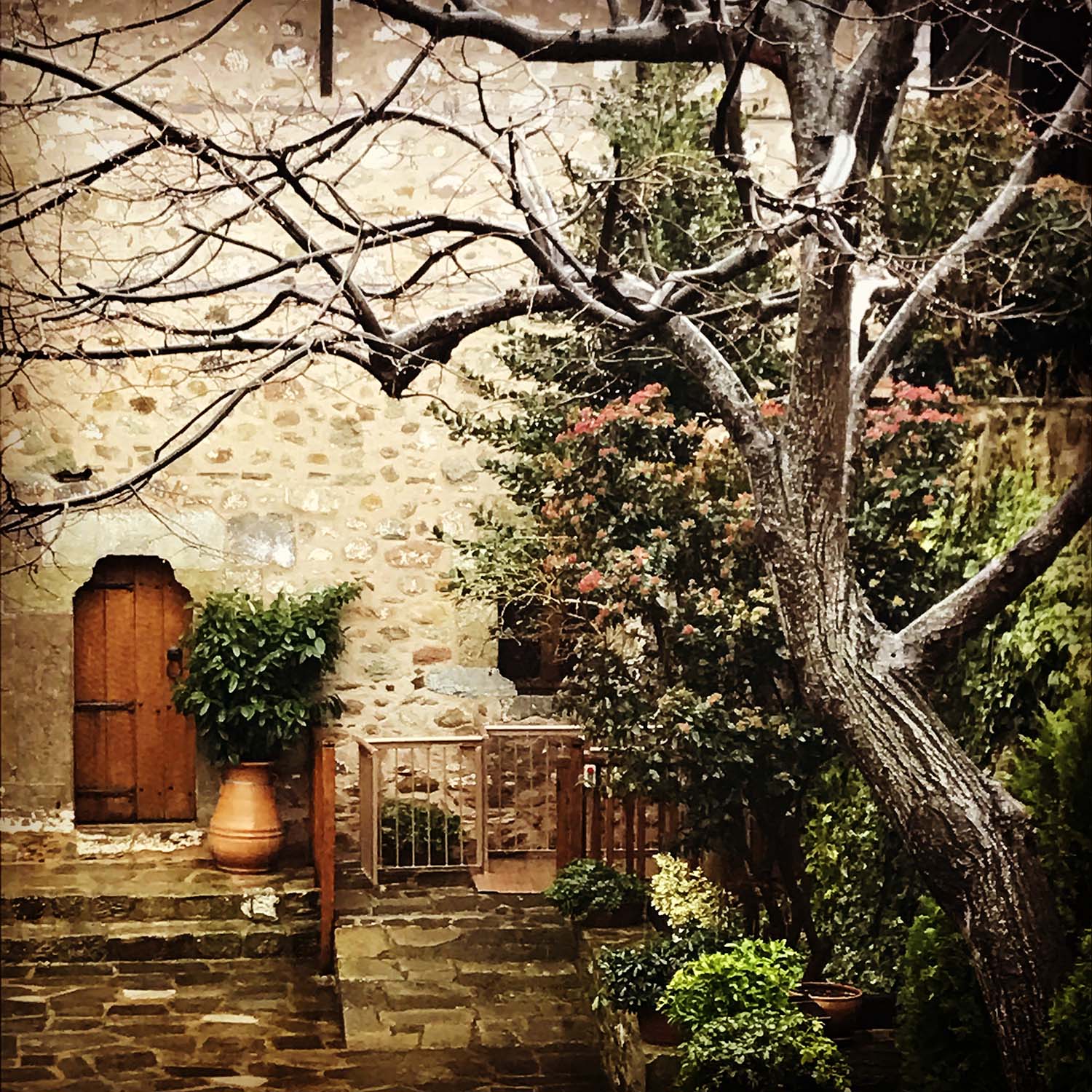 Roussanou Monastery doorway and tree
