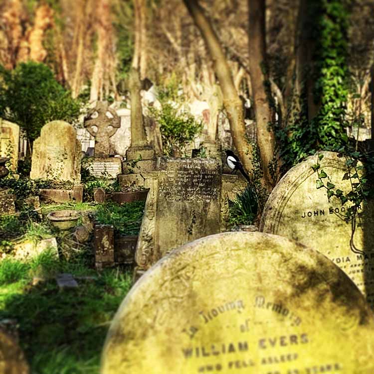 Highgate Cemetery in London - places to tour in london
