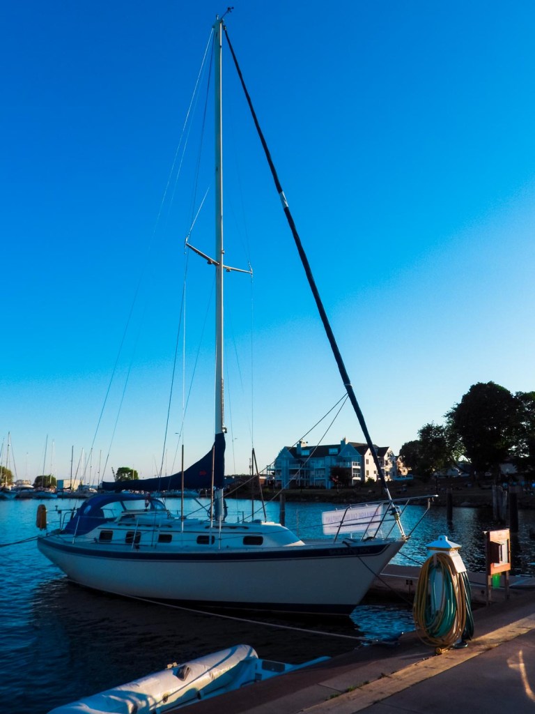 Good night, Sarah's Joy