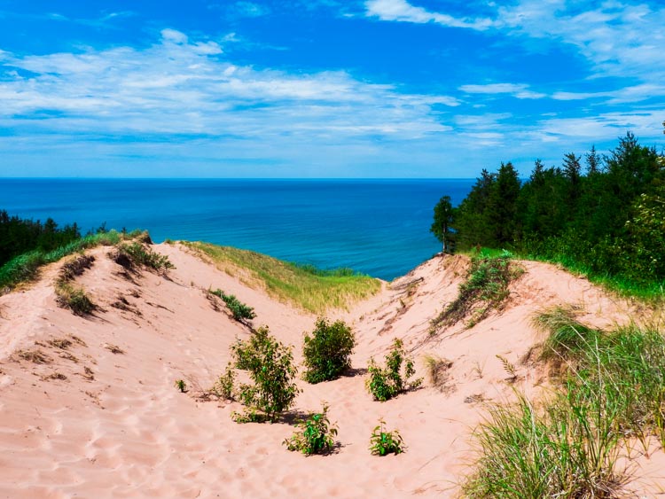 Grand Sable Dunes ghost forest in Pictured Rocks