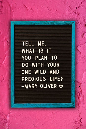 Mary Oliver quote "Tell me, what is it you plan to do with your one wild and precious life?" on letter board for About Me page