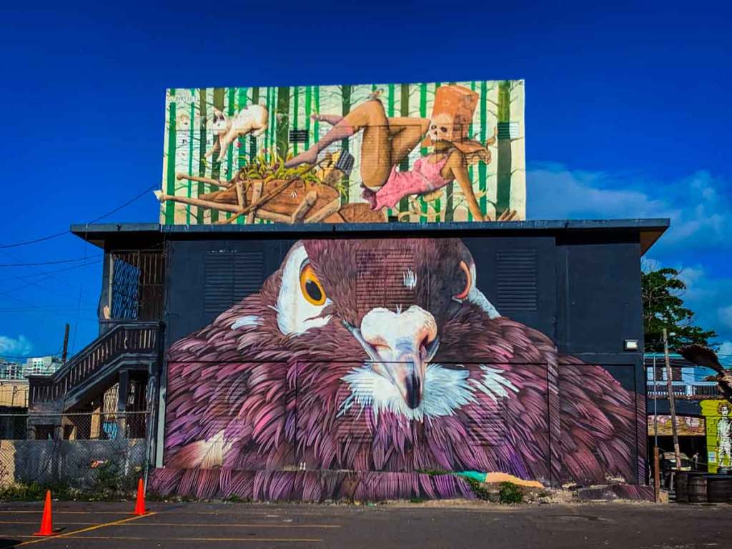 This image features two large murals painted on the side of a building. The lower mural is a close-up of a bird of prey, possibly a hawk or an eagle, with intense, piercing eyes and detailed feathers in shades of brown, white, and purple. The bird’s gaze is powerful and dominates the lower portion of the building.Above this, on the upper portion of the building, is a more whimsical and surreal mural. It depicts a scene with a rabbit and a figure wearing a paper bag over their head, dressed in a pink outfit, lounging in a forested area. The figure is surrounded by green bamboo-like plants and appears to be reclining on a structure made of wooden beams. The contrast between the realistic and intense lower mural and the more playful and imaginative upper mural creates a dynamic visual experience, with both pieces making strong, distinct statements. The deep blue sky provides a vivid backdrop, enhancing the colors and details of the murals.