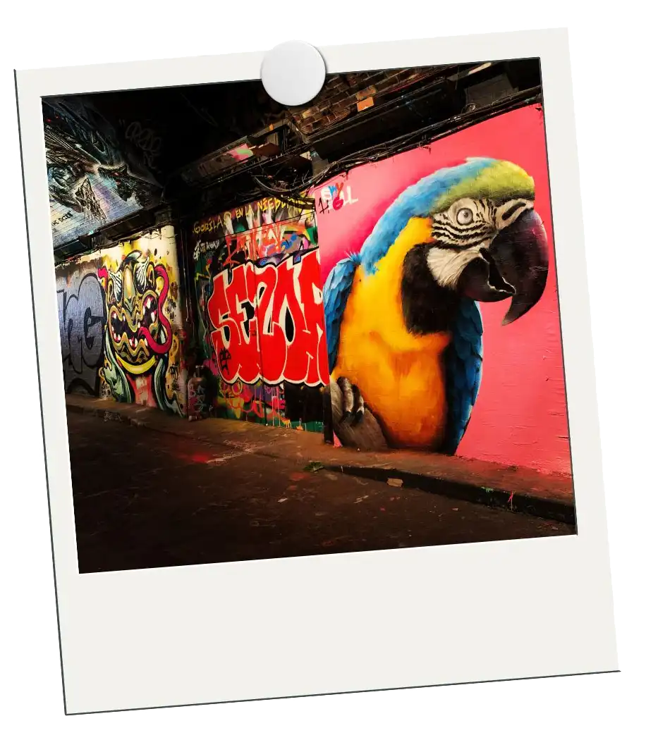 Street Art polaroid of a macaw and graffiti mural