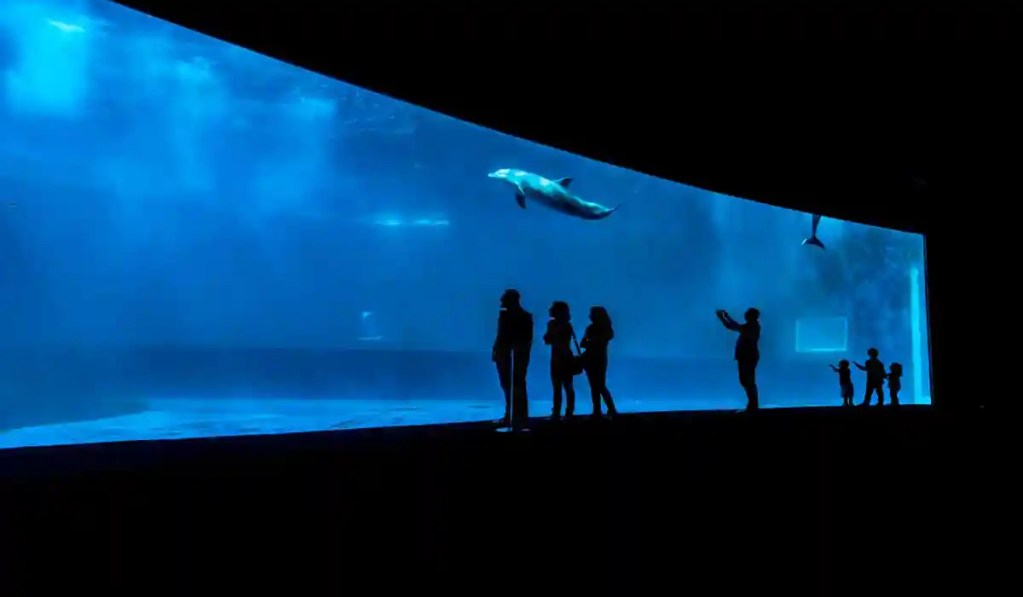 One day in Genoa or Genova, Aquarium